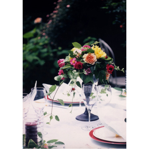 �K�[�f���p�[�e�B�[